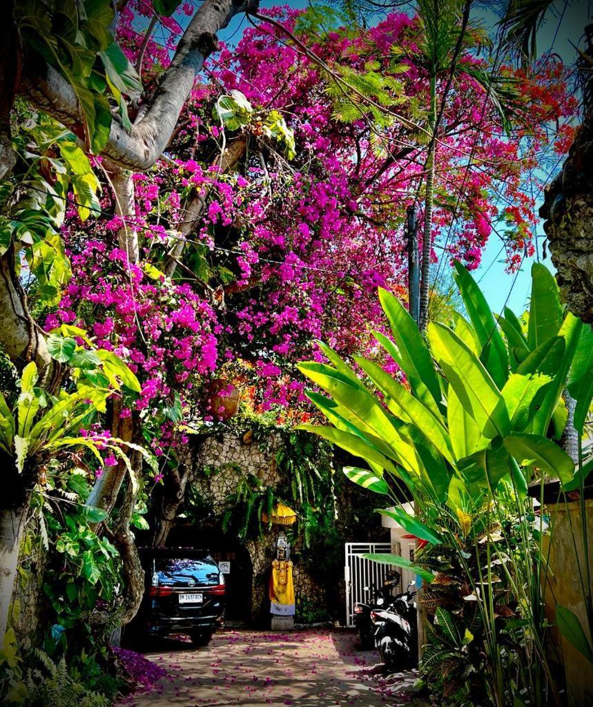 Exquisite Private Villa — Villa Sekala, Sanur, Se Bali Bagian luar foto